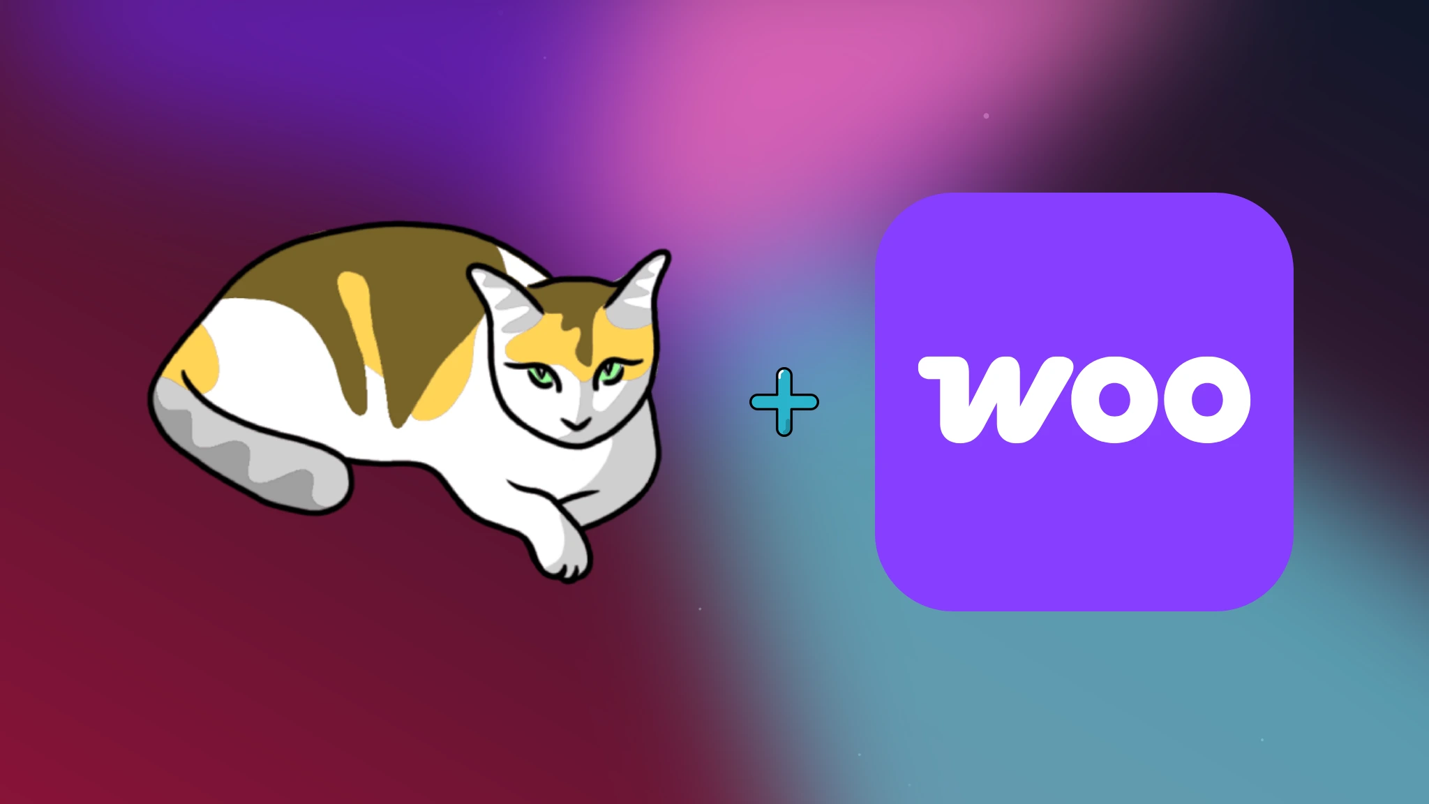 Gato GraphQL์ฉ WooCommerce ํ์ฅ ๊ธฐ๋ฅ